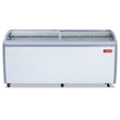 WESTLAKE Commercial Ice Cream Display Freezer 71