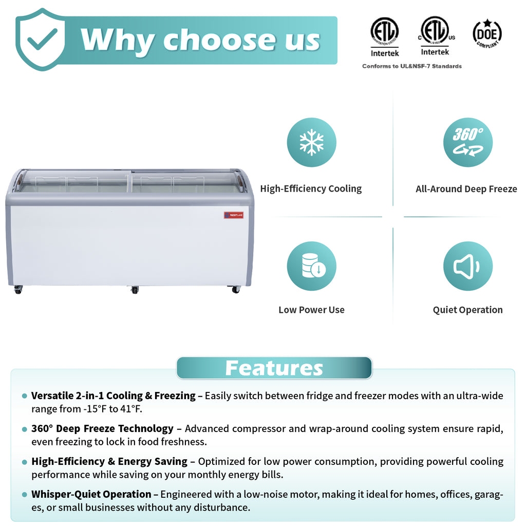 WESTLAKE Commercial Ice Cream Display Freezer 71